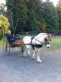 /album/lessons/kelsey-driving-png/